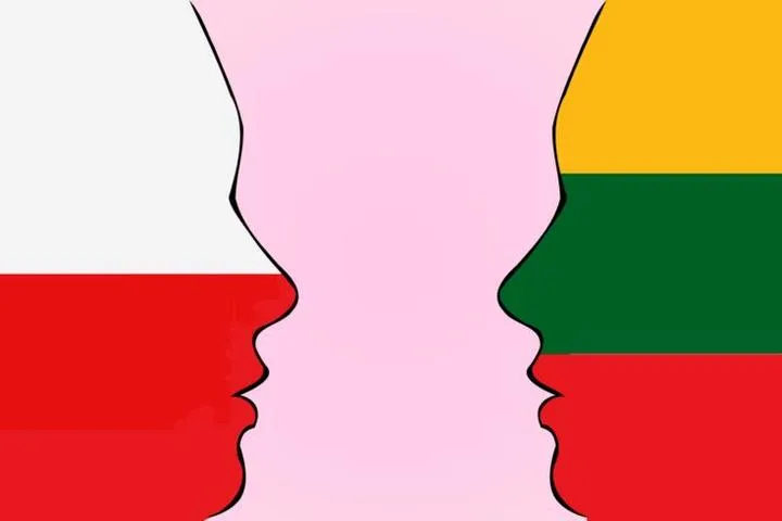 Ceny biletów na mecz Polska – Litwa: Ile trzeba zapłacić?