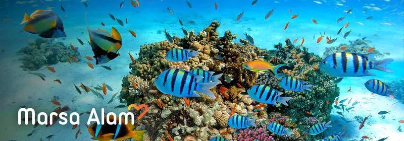 Ile trwa lot do Marsa Alam z Gdańska? Odpowiadamy na najczęstsze pytania!