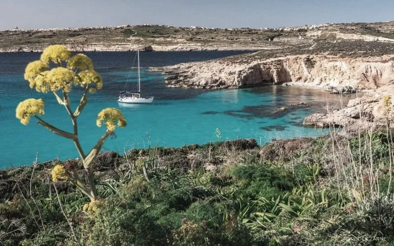Malta - kiedy jechać, by cieszyć się idealną temperaturą?