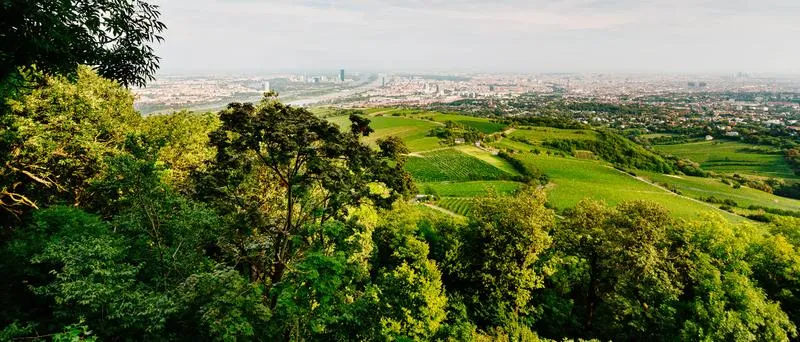 Odkryj Wzgórze Kahlenberg w Wiedniu: Jak Dojechać i Co Zobaczyć