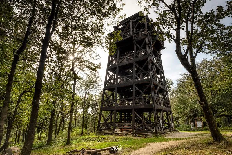 Z Cergowej wieży widokowej w beskidzkie krajobrazy – sprawdź, jak dojechać!