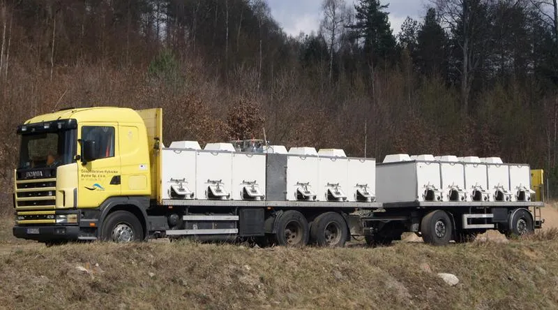 Bezpieczny przewóz ryb akwariowych