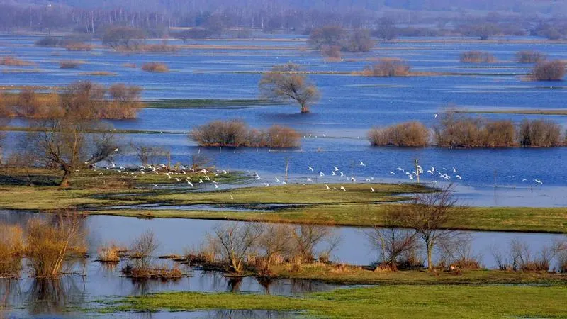 Biebrzański Park Narodowy