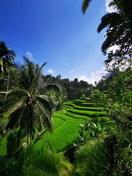 Czynniki wpływające na podróż
