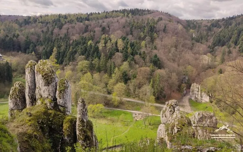Dojazd do Ojcowskiego Parku Narodowego