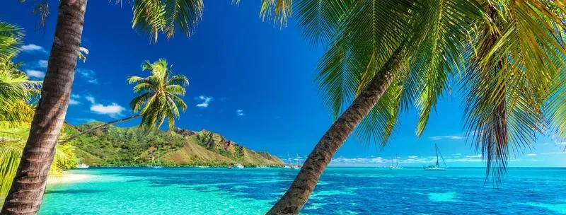 Kiedy jechać do Polinezji