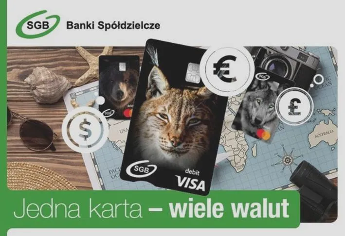 Kupowanie biletów w euro