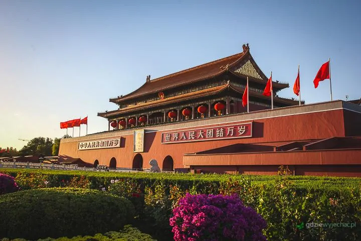 Lot bezpośredni czy z przesiadką