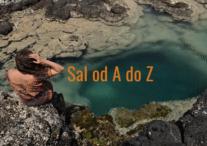 Lot na sal