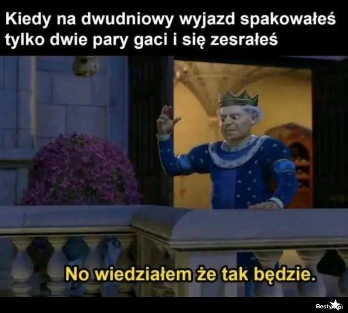 Praktyczne porady dotyczące pakowania