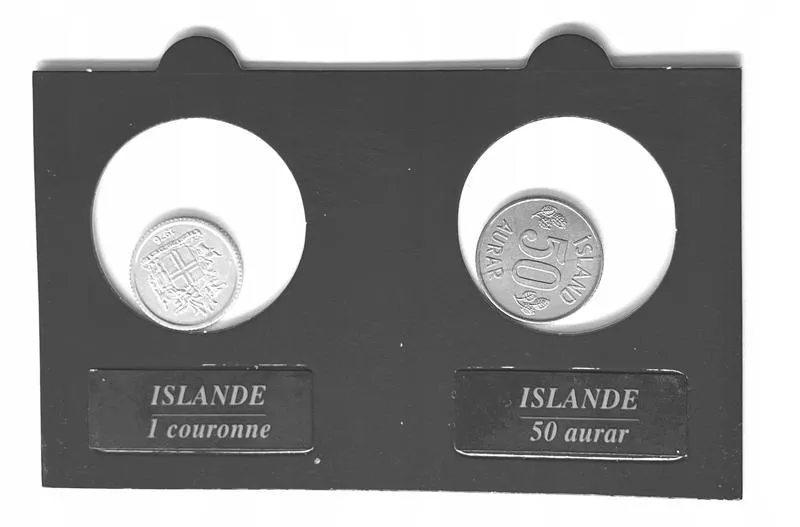 Przepisy celne Islandia