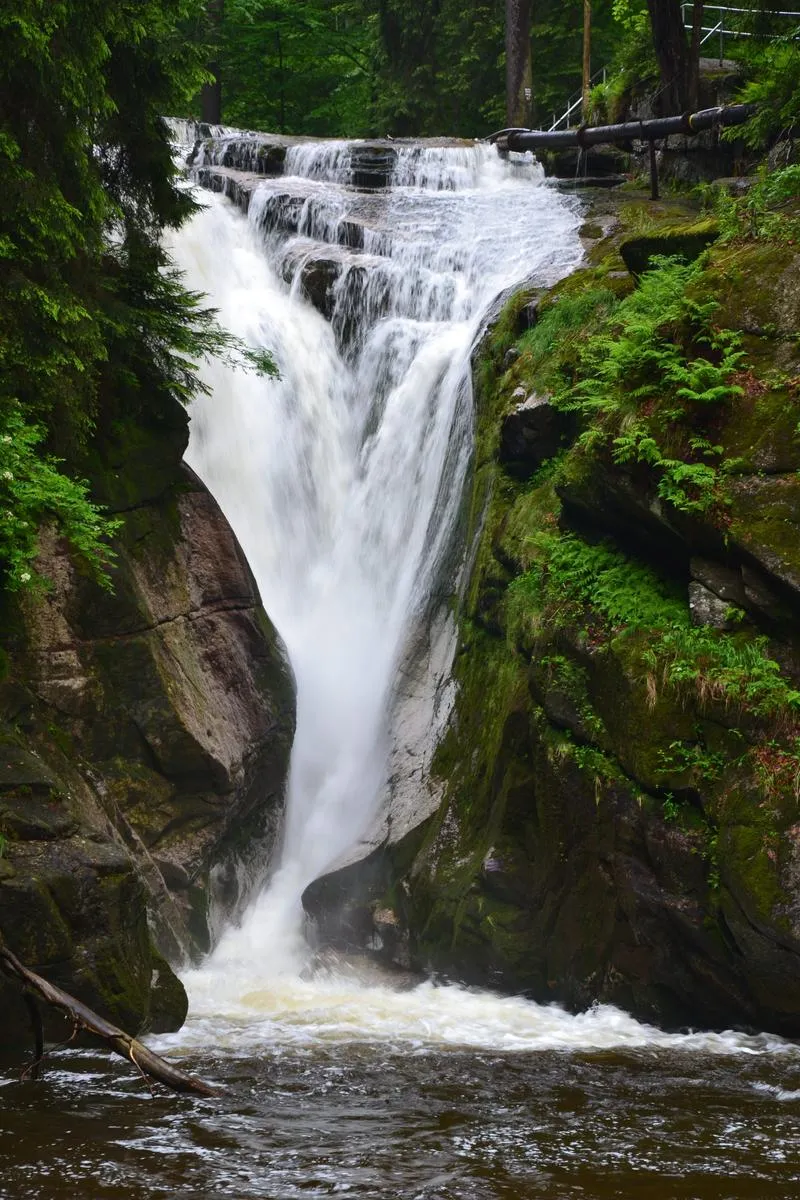 Transport publiczny czy samochód