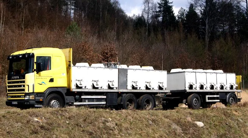 Transport ryb do akwarium