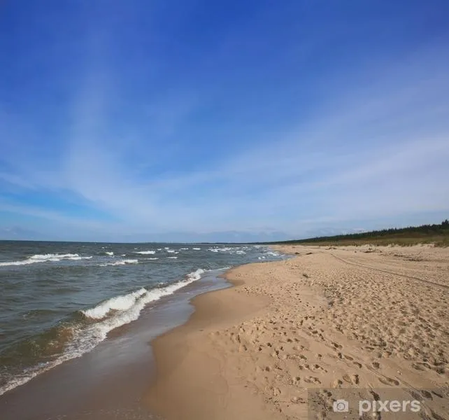 Transport z Gdańska nad morze