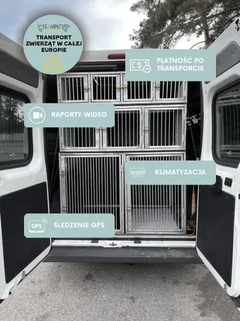 Transport zwierząt